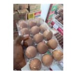 Eggs Pack X15