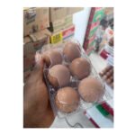 Eggs Pack X6