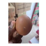 Eggs Pcs